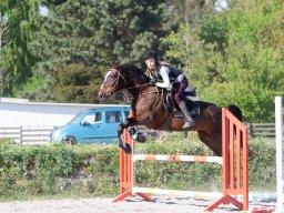IMG_0635_web